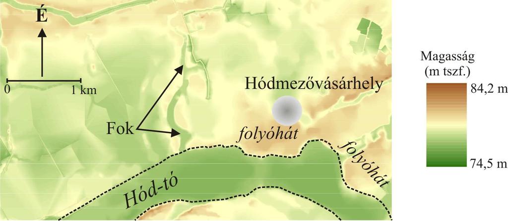 alakították át a felszínüket (pl.: Hódmezővásárhely, Szőreg). A viszonylag kisszámú, és elszórt helyzetű forma miatt az ártér morfológiai egységei között nem tapasztalható különbség.