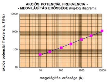 4 10000 -Abszorpcó P ~ I m, logp ~ mlogi abszorbaca 0.