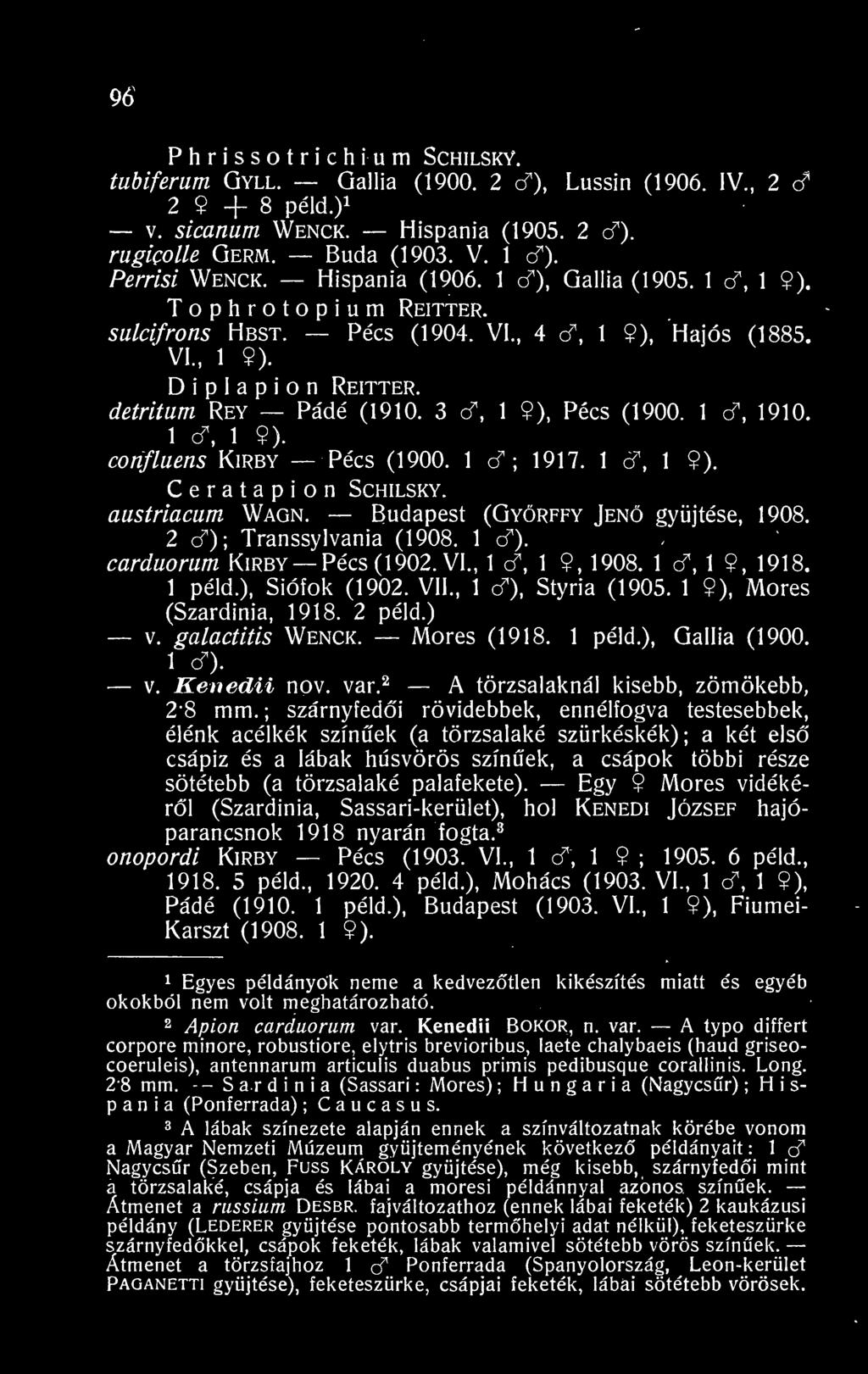 detritum Rey Pádé (1910. 3 d, 1 9), Pécs (1900. 1 cf, 1910. 1 cf, 1 9). confluens Kirby Pécs (1900. 1 cf ; 1917. 1 cf, 1 9). Ceratapion Schilsky. austriacum Wagn. Budapest (Györffy Jen gyjtése, 1908.