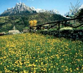 50-100 km-es körzetben csillagtúra szerűen bejárható Verona, Bergamo- Milánó, a Lago d Iseo és a Comoi-tó, valamint Trento- Bolzano és a Dolomitok is.