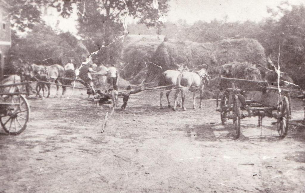 1944, leventék és a tűzoltók Aratási munkálatok