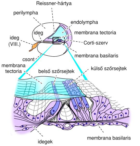 teli csatorna.