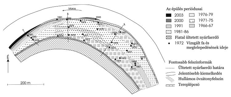 Ártérfejlõdés és növényzet kapcsolatának vizsgálata a Maros hullámterén 305 3. ábra A dendrológiai vizsgálat eredménye a ferencszállási mintaterületen Figure 3.