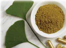 GYÓGYNÖVÉNYEK Ginkgo Biloba Antioxidáns hatású gyógynövény.