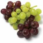 A ginkgo biloba hozzájárulhat az idõskori agymûködés megfelelõ szinten tartásához. Fontos antioxidáns tápanyag, tehát védi a sejteket a szervezetben zajló káros oxidatív folyamatoktól.