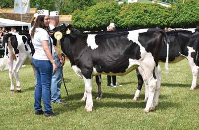 tulajdonos: Pálhalmai Agrospeciál Kft.