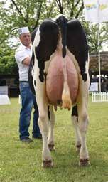 EGYESÜLETI ÉLET A Holstein-fríz Tenyésztők