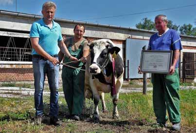 000 kg-os termelést. 2000. július 4-én született, tehát épp most tölti 17. életévét. Egy ilyen magas életkor elérése egy tehenészetben óriási teljesítmény.