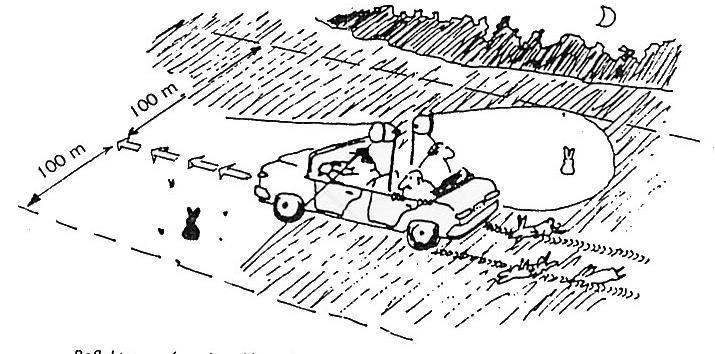 10. ábra: Pielowski-féle sávos állománybecslés 3. Reflektoros sávos számlálás: A mezei nyúl táplálkozási (aktív) időszakában, éjszaka végezzük gépjárműről.