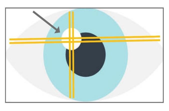 baba Modern eszközök: a szemmozgás regisztrálás ( eye