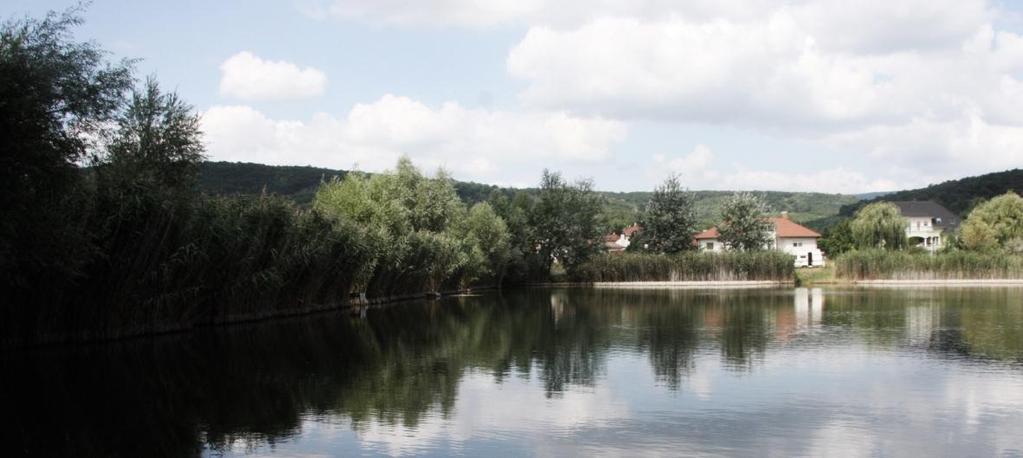 funkcionál. A 447 méter magas Nagy-kopasz Piliscsaba északi részén fekvő kirándulóhely.