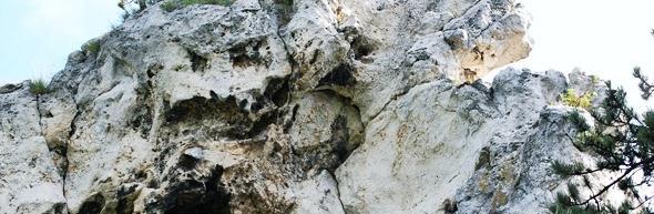A Hárshegyi erdőben található a dolomit anyagú Gomba-szikla, amely a MOL erdei