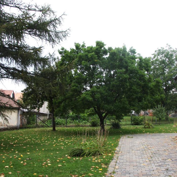 A forrás mellet érhető el a Fényesligetsétány bejárata is.