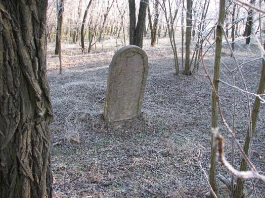 A terület elhanyagolt, rendezetlen, a sírkövek