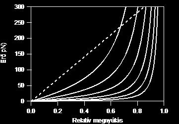 a lézercsipesz Hőmérsékleti energia (k B T) a láncban hajlító mozgásokat gerjeszt A lánc rendezetlensége (entrópiája) növekszik.