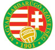 Magyar Labdarúgó Szövetség IFA Integrált Futball