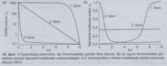 R stratégisták - exponenciális növekedés -III. típusú túlélési görbék - Ossziláló pop.