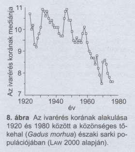 alatt is jelentős