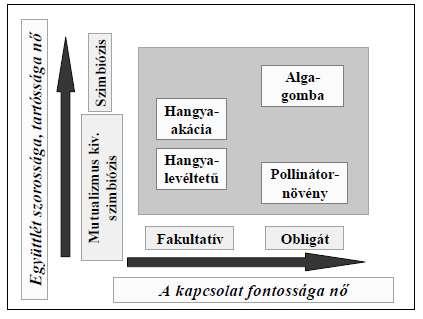 Kölcsönösség-mutualizmus A mutualizmus