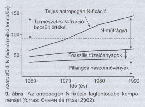 növények számára felhasználható N mennyisége Eutrofizáció, növény közösségek