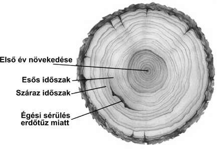 Klímaváltozás és ökológiai következményei A szárazföldek átlaghőmérséklete 0.