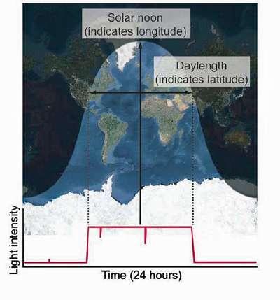 Geolokátor: Nappal/éjszaka hossza É/D-i távolság az egyenlítőtől (szélesség) Napkelte/nyugta ideje K/Ny-i távolság, Londontól