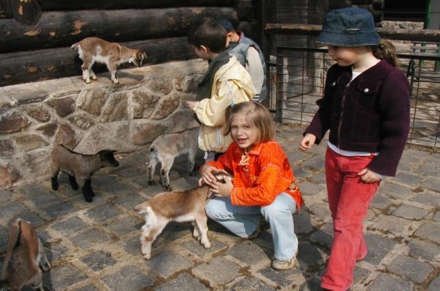 Állatkertben Kirándulás Tahitóton Almaszüret A Repülőparkban Az utóbbi évek