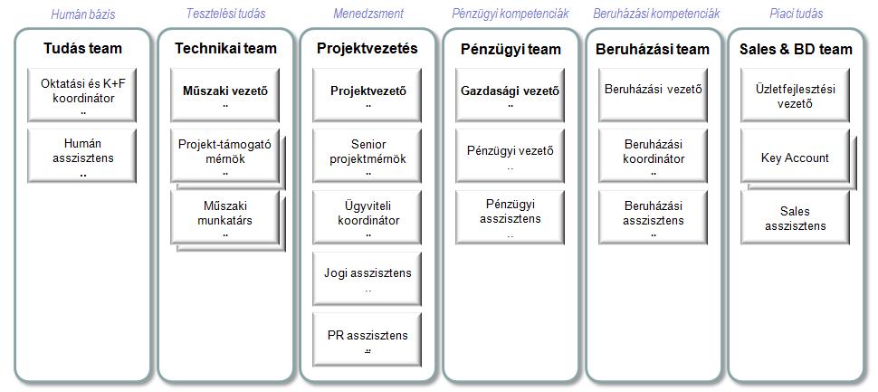 A Társaság vezetője az Ügyvezető igazgató, aki egyben ellátja a Projektvezető szerepét.