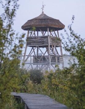 A zöldövezet folytatásaként a romantikus Rózsa liget és a vasban gazdag vizet adó, zenélő Csitáry-kút tárul elénk, majd a Csónakázó-tóhoz érkezünk.