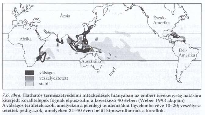 Vízi és vizes élőhelyek Mangrove