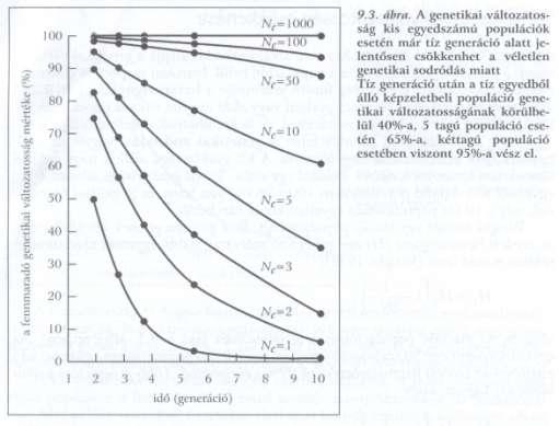 Probléma: A- genetikai