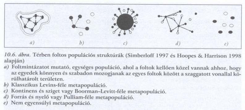 Metapopulációs