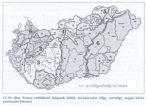 Magmintavétel irányelvei: Botanikus kertek, arborétumok, magbankok 1. kihalás, unikumok, visszatelepíthetőek, ex situban tenyészthetőek, potenciális gazd. Érték 2.