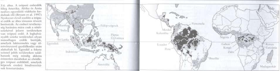 Trópusi esőerdők 7%-a a földnek, de a világ fajainak a felét.