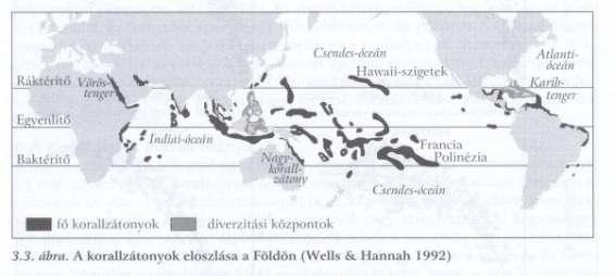 a nem tengeri madarak akár 78% (Új- Guinea) Korallzátonyok (magas produktivitás 2500g/m 2 /év,