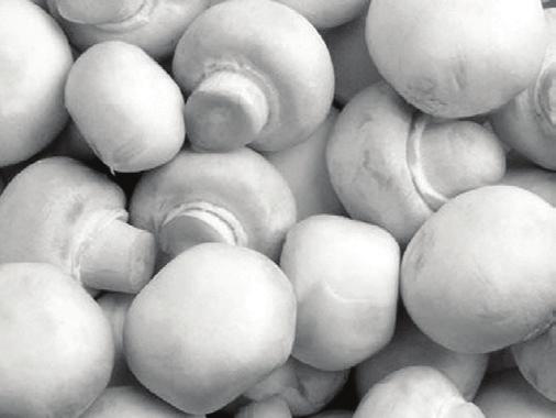 4. Miklós friss, faluról beszerzett csiperke gombát árul a piacon. Az egyik faluban Miklós 120 kg csiperke gombát vásárolt 105 dináros kilogrammonkénti áron.