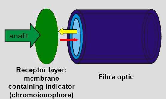 Variable Absorption Probes Input fiber Output fiber GsAs sensor probe Fiber optic sensor based on variable absorption of materials such as GaAs allow the measurement of temperature and OPTÓD/OPTRÓD