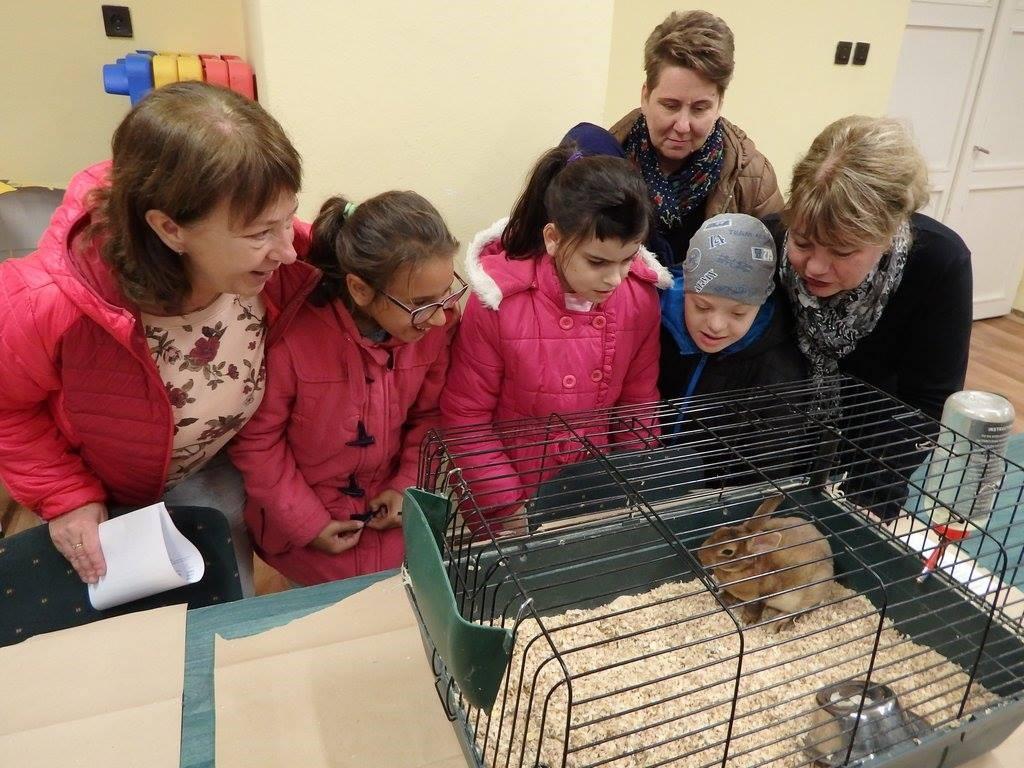 vigyázunk a természetes élőhelyükre. Te is tehetsz valamit az állatokért!