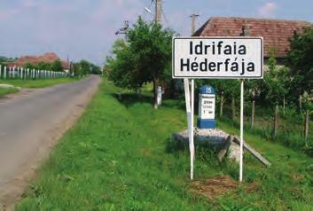Stemele de pe mormintele criptei bisericii reformate de la Idrifaia 1 Szekeres Attila István Idrifaia (magh. Héderfája, germ. Ederholz), este un sat aparþinãtor comunei Suplac (magh.