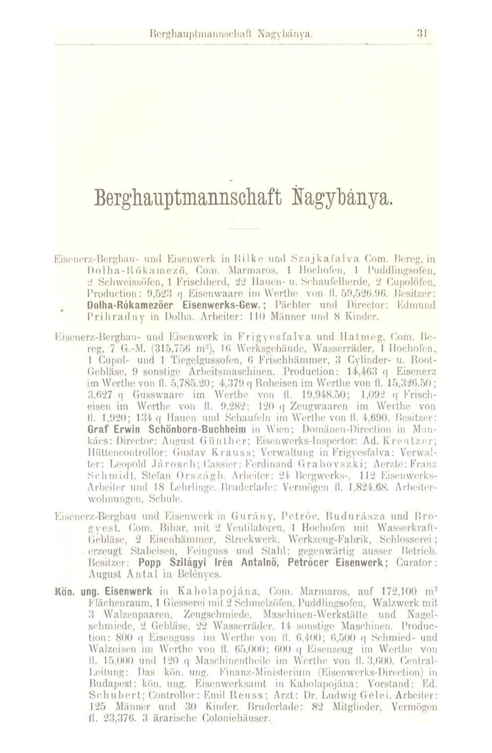 Berghauptmannsehafl Nagybánya, 31 Berghauptmannschaft Nagybánya. Eisenerz-Bergbau- und Eisenwerk in Bilke und S/.a.j kaiul va Com. Bereg, in Dolha-Ró kamező, Com.