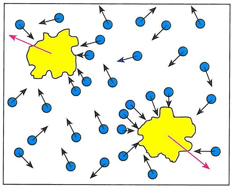 A RÉSZECSKÉK MOZGÁSA Fizika-Biofizika I.