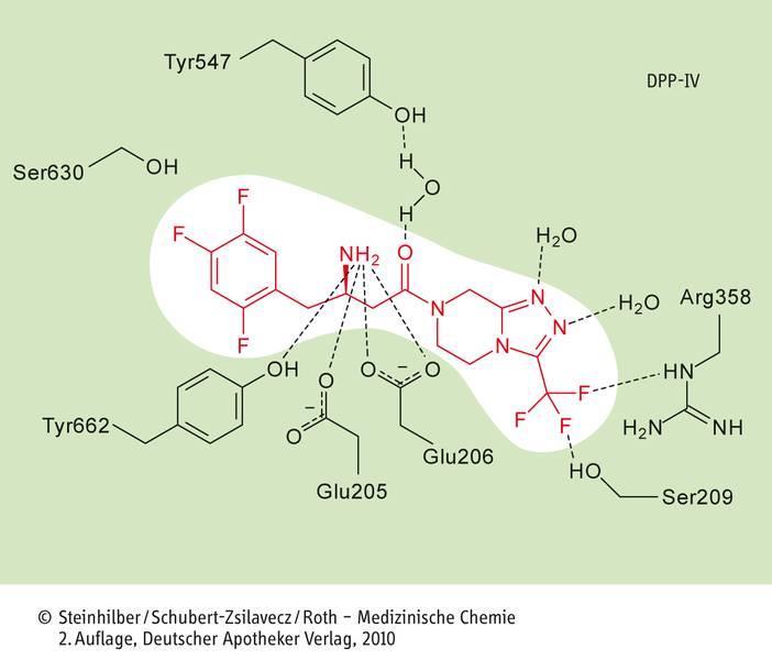 rális antidiabetikumok Dipeptidil-peptidáz-4 (DPP-4) gátlók : gliptinek szitagliptin
