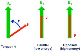 Mágneses térben (B) egy mágneses dipólusra (m) forgatónyomaték ( ) hat. (pont úgy mint elektromos térben egy el.