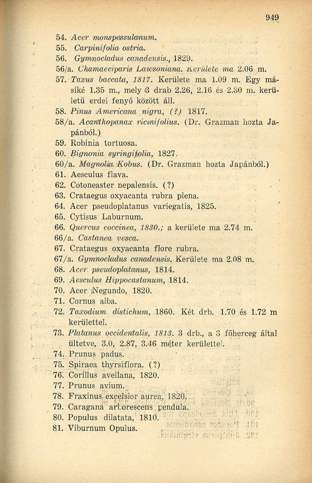 54. Acer monspessulanum. 55. Carpinifolia ostria. 56. Gymnockidus canadensis., 1829. 56/a. Chamaeciparis Lawsoniana. Kerülete ma 2.06 m. 57. Taxus baccata, 1817. Kerülete ma 1.09 m. Egy másiké 1.35 m.