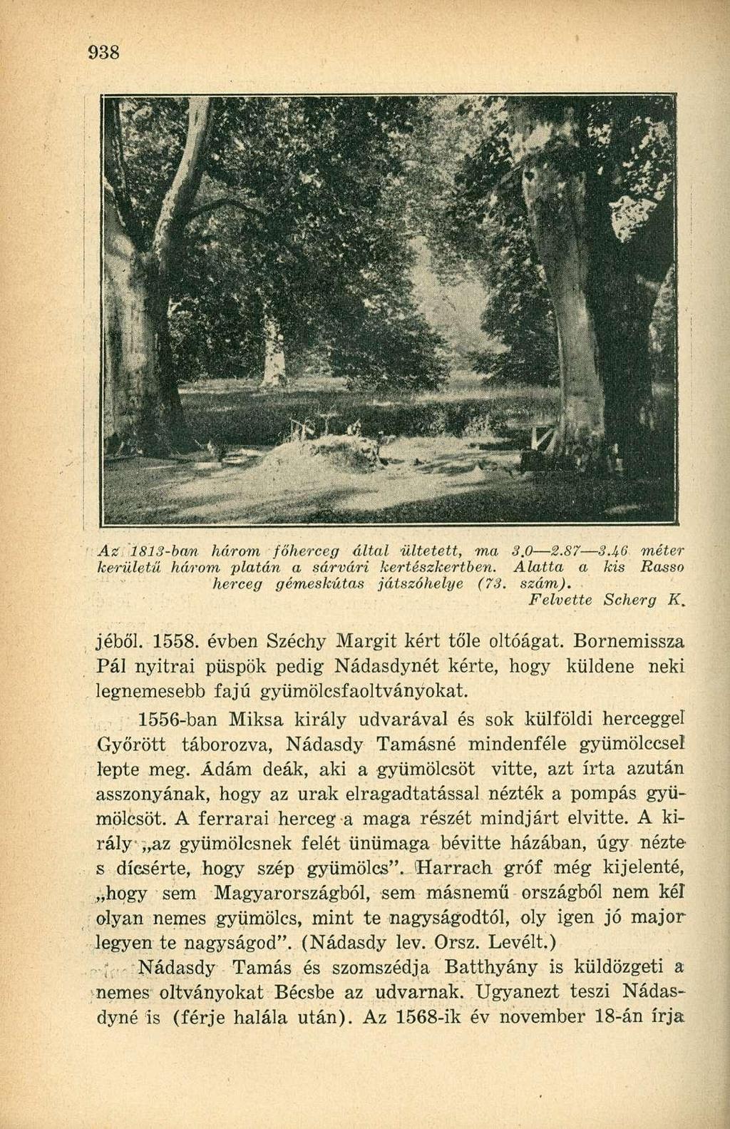 Az 1813-ban három főherceg által ültetett, ma 3.0 2.87 3.UG méter kerületű három platán a sárvári kertészkertben. Alatta a kis Rasso herceg gémeskútas játszóhelye (73. szám). Felvette Scherg K. jéből.