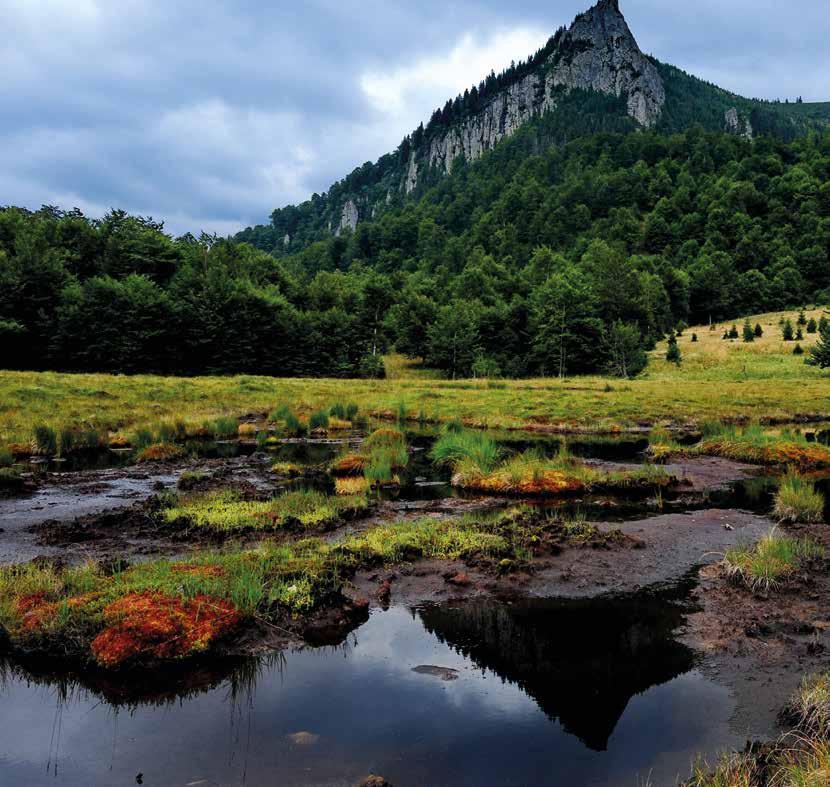 TOURIST ADVISORY On the Fabulous Landscapes of Transylvania by Róbert Richard KISS, Company Group Editor in-chief Mesebeli tájakon Erdélyben Szerző: KISS Róbert Richard, cégcsoport-főszerkesztő For a