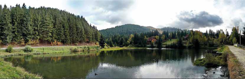 I had to select from among the must see sights for the 5-day-trip. If we listed every touristic offer of Transylvania, we would fill up several Tropical magazines.