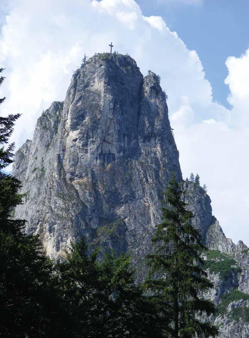 MEN S CHALLENGE Hiking