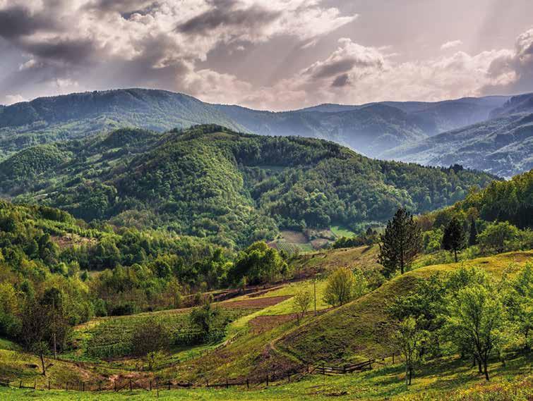 LIFESTYLE Most of them can be found on the well-known accommodation booking portals. Visitors to Sokobanja should not miss the Park bath, which is a real hamam, a Turkish bath.