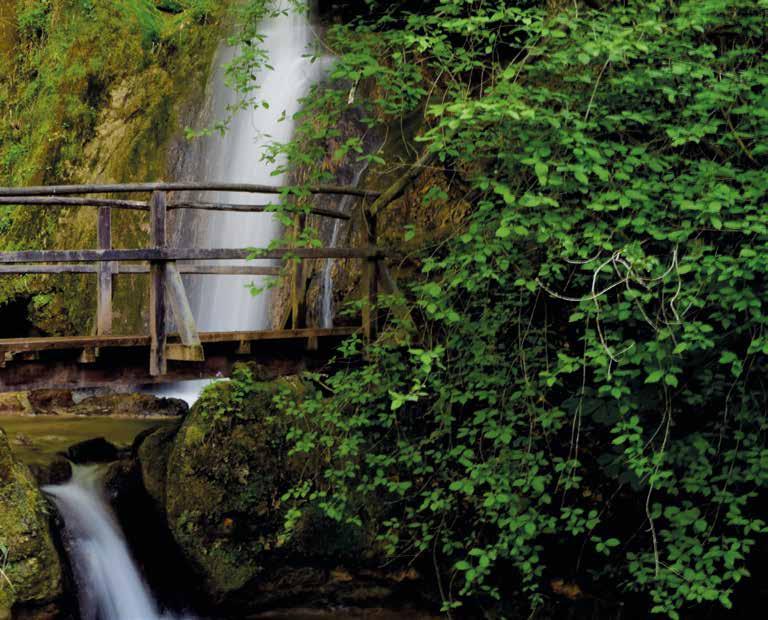 LIFESTYLE herbal remedy for every disease. On Mount Rtanj, there are supposedly 200 types of herbs growing, everyone takes from them and there are some, who just come here to get tea for winter.